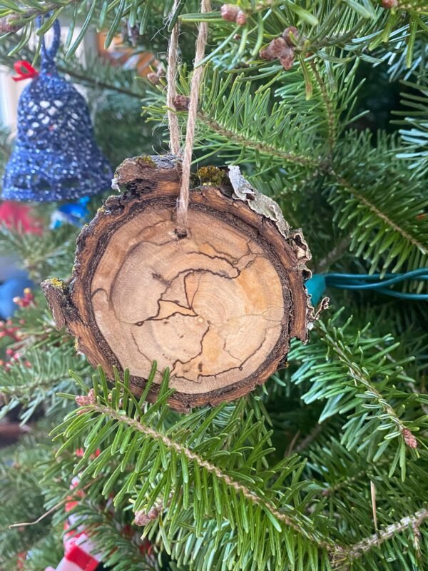 Veterinary Christmas ornament, Rustic Christmas ornament, Caduceus ornament, Possible to personalize - Image 3
