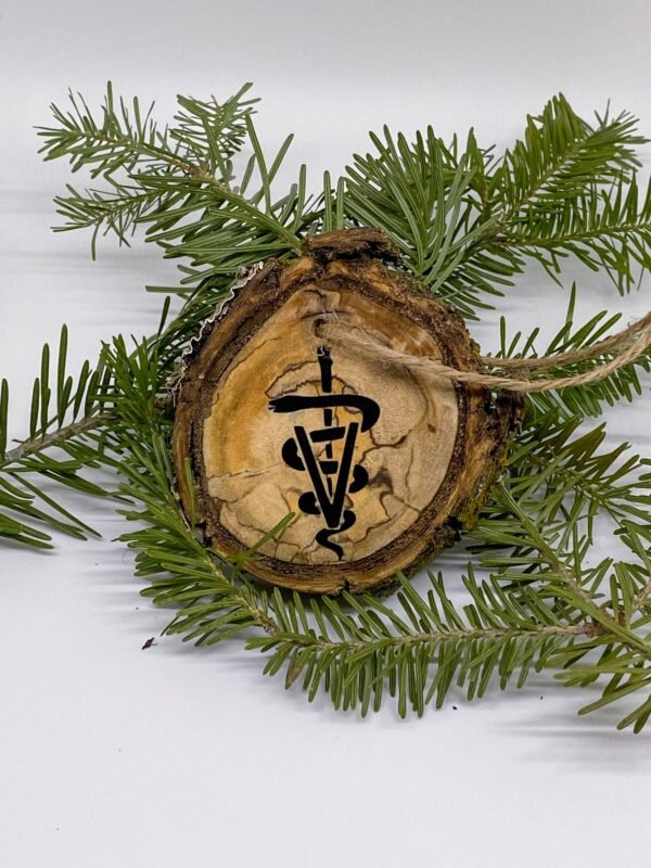 Veterinary Christmas ornament, Rustic Christmas ornament, Caduceus ornament, Possible to personalize