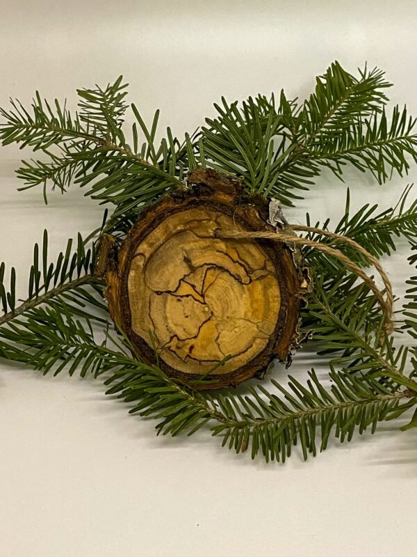 Veterinary Christmas ornament, Rustic Christmas ornament, Caduceus ornament, Possible to personalize - Image 5