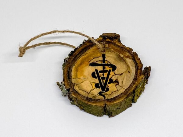 Veterinary Christmas ornament, Rustic Christmas ornament, Caduceus ornament, Possible to personalize - Image 6