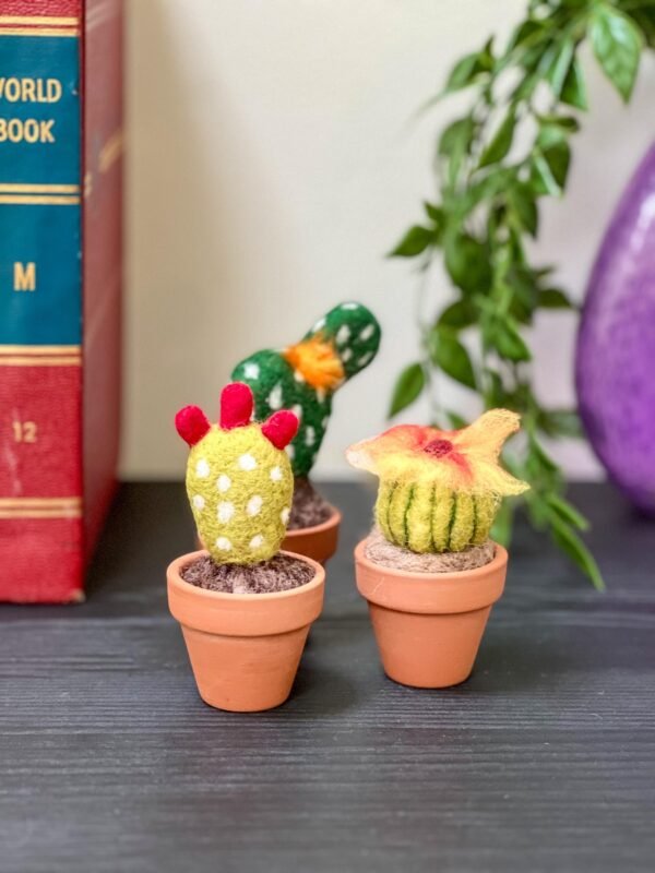 Needle Felted Cactus Decoration Fake Cactus Shelf Decor Artificial Cactus Southwestern Desert Theme, Seventh Wedding Anniversary Wool - Image 8