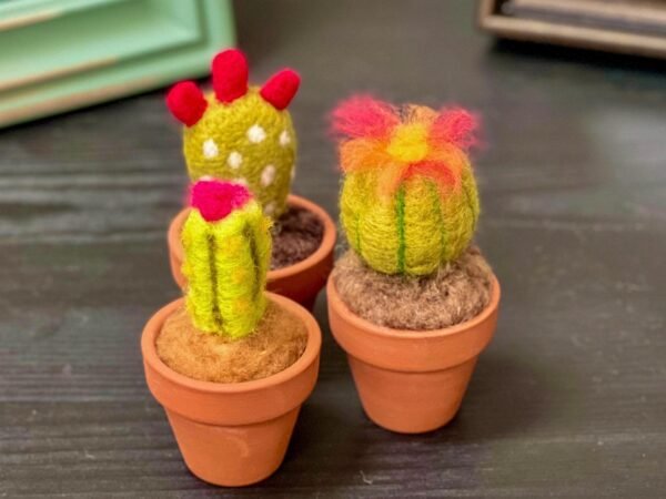 Needle Felted Cactus Decoration Fake Cactus Shelf Decor Artificial Cactus Southwestern Desert Theme, Seventh Wedding Anniversary Wool