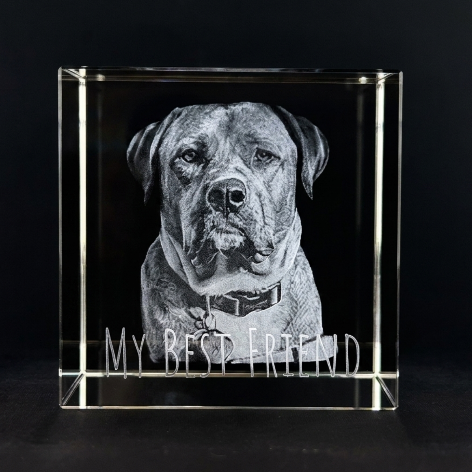 Inner glass engraving of a dog